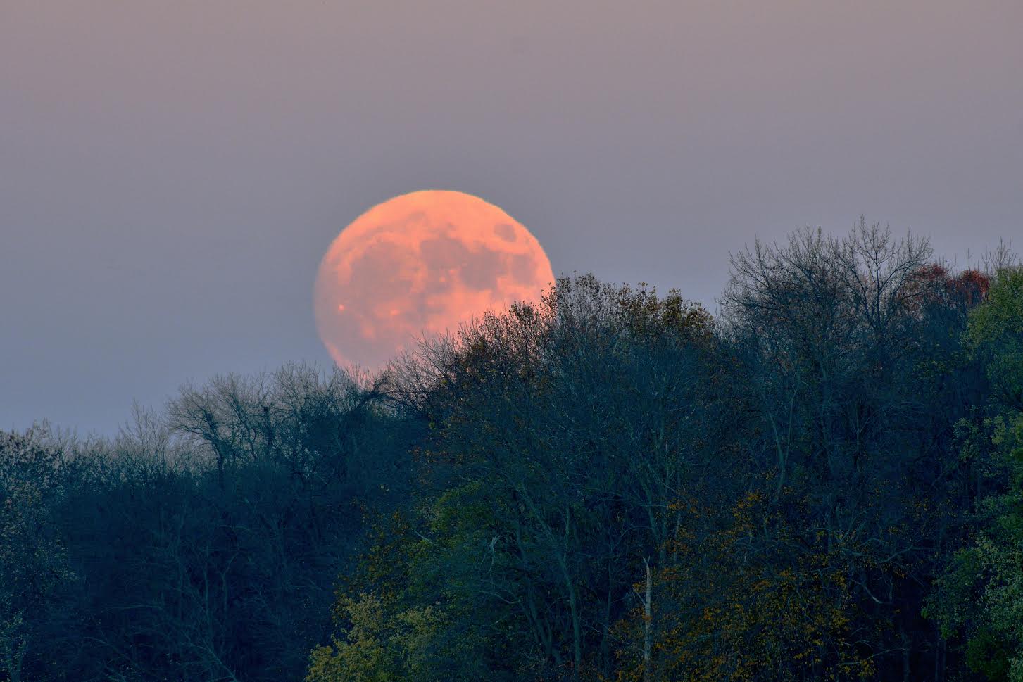 Supermoon Fills Sky Above Lower Bucks County