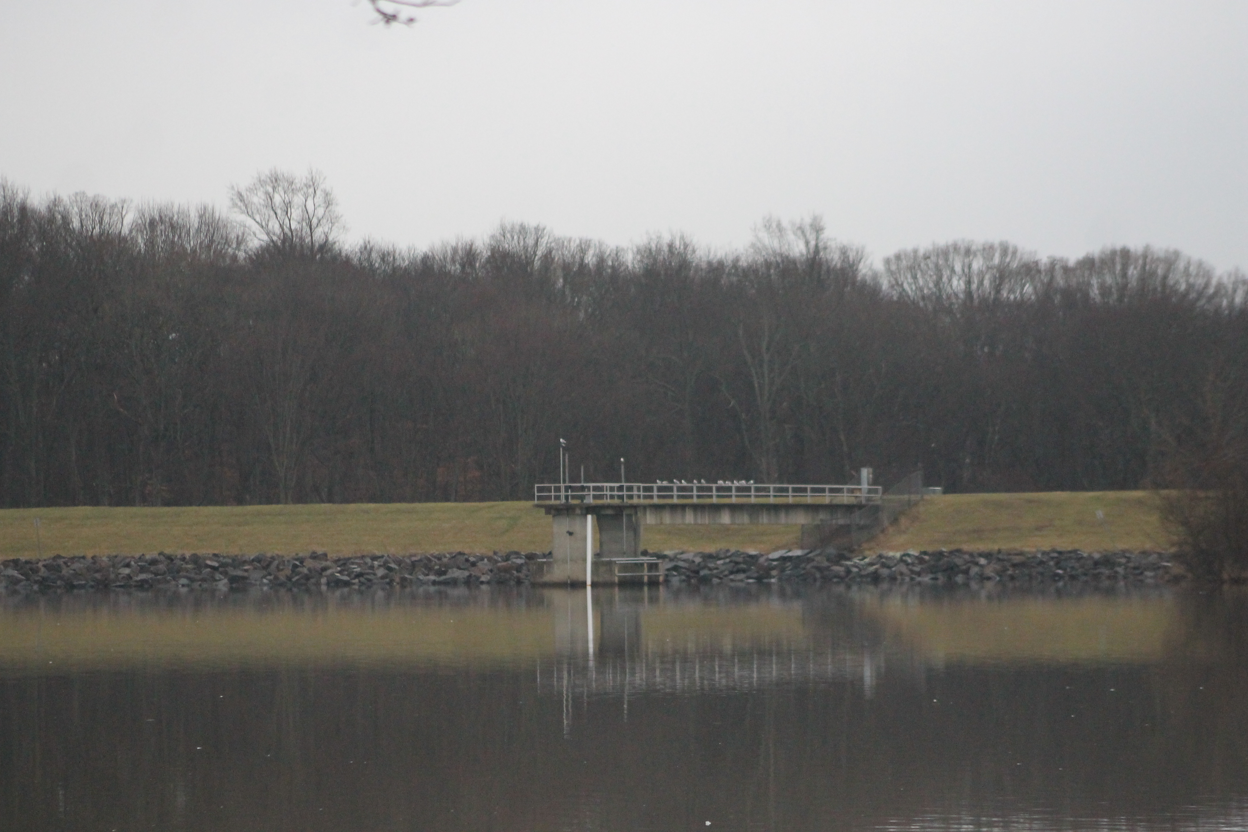 Core Creek Park Dam Rehabilitation Program Moves Forward
