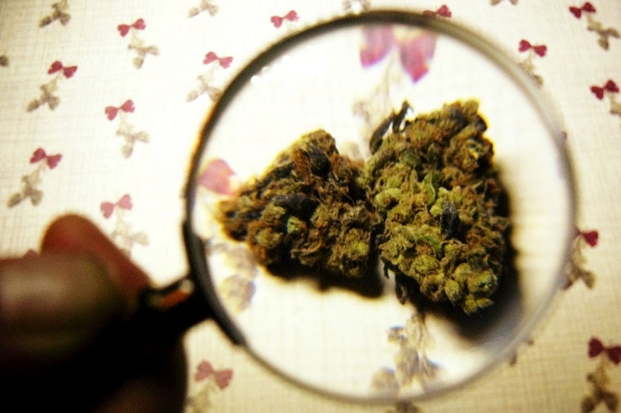 As The Feds Embrace Medical Marijuana, What Comes Next?