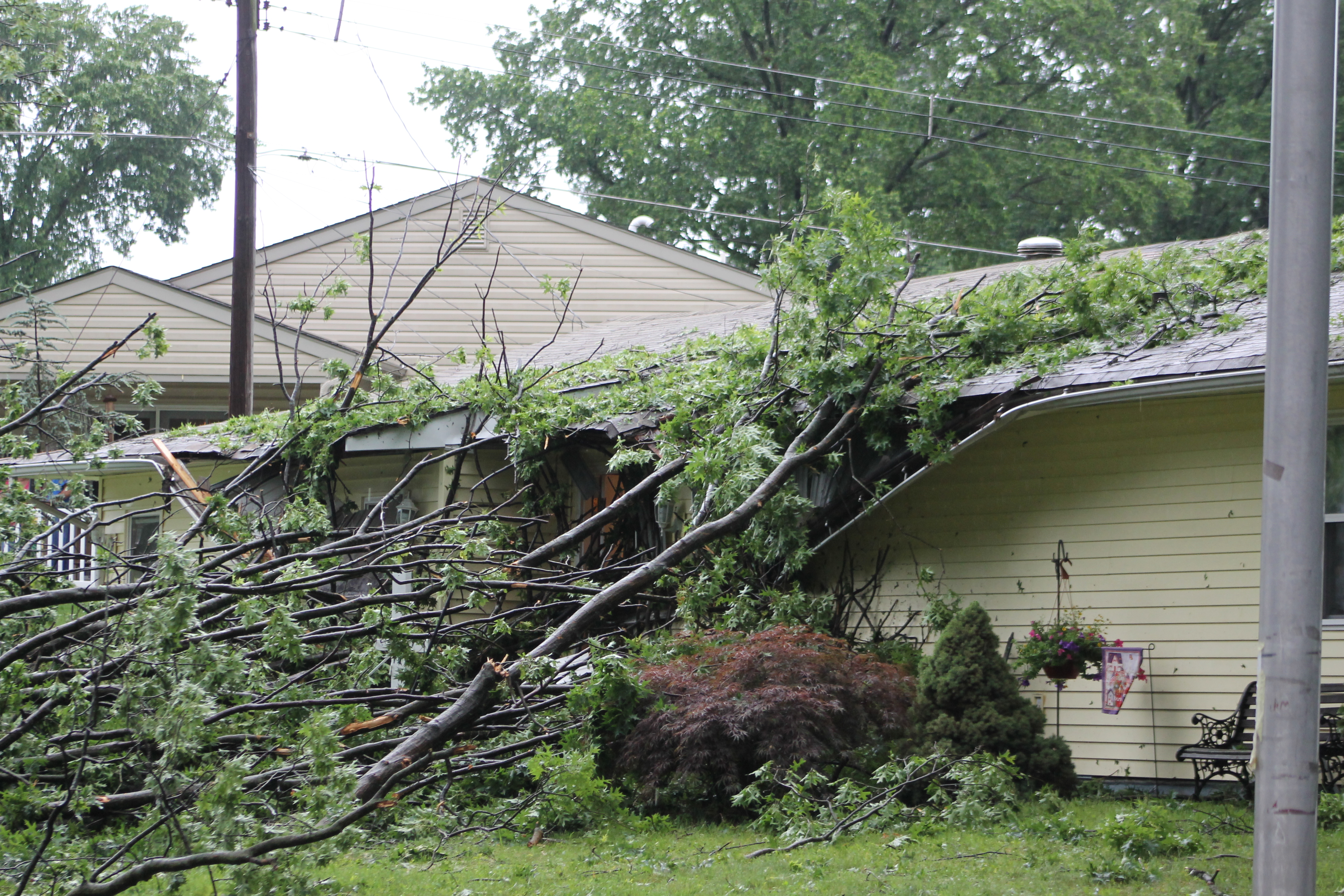 Strong Winds Expected Friday Into Saturday