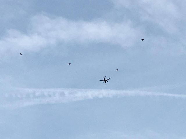 Group Of Jets Make Pass Over Levittown Area