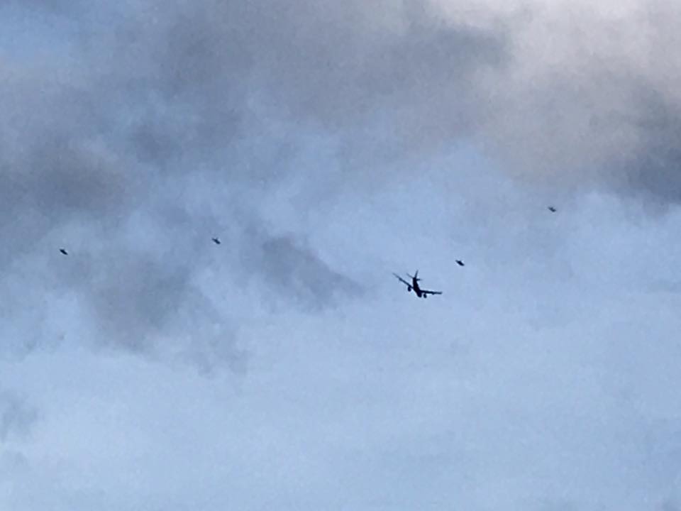 Military Spokesperson: Jets Over Levittown Area Belonged To Saudi Arabia