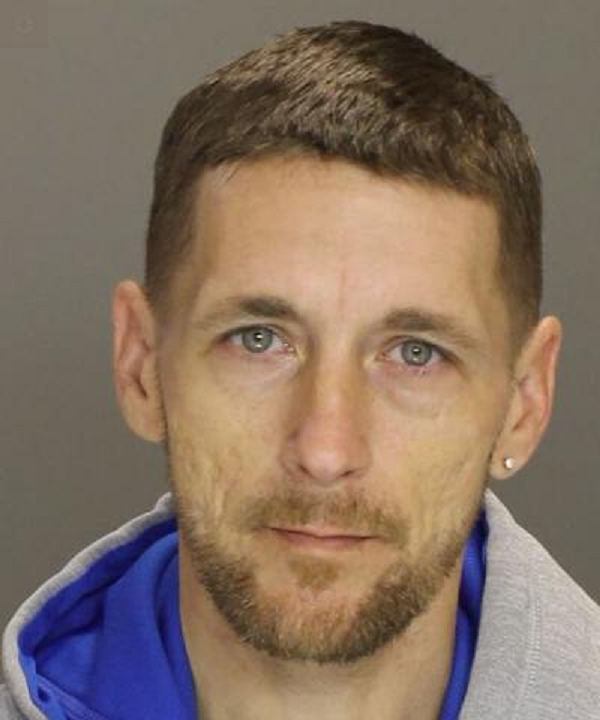 Levittown-Area Man Awaiting Trial In Theft From Vehicle Cases