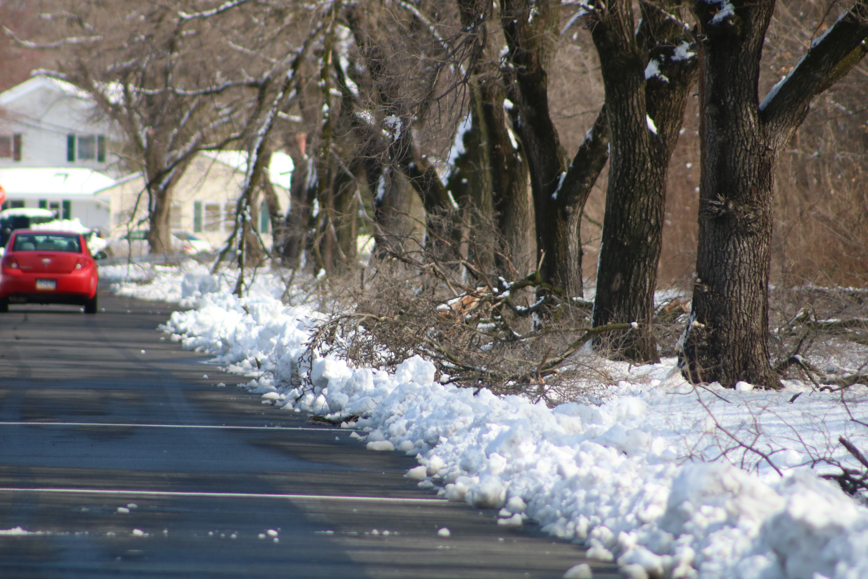 Special Yard Waste Collection Day Scheduled For Bristol Twp.