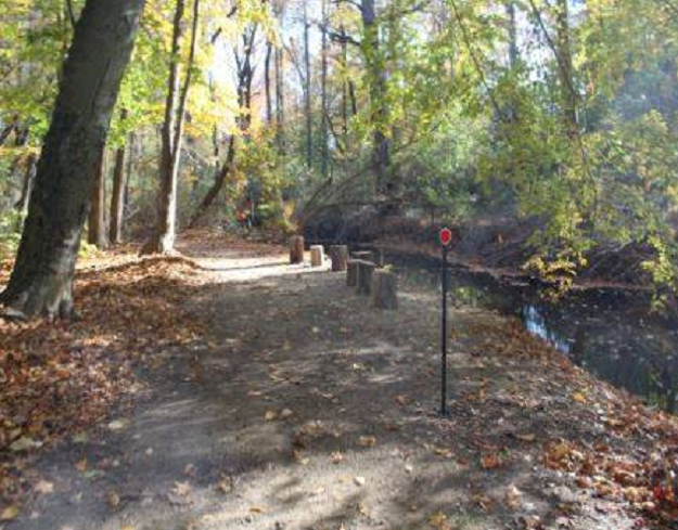 Eagle Scout Project Tidies Up Greenbelt