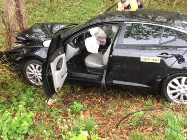 Student Driver Strikes Tree