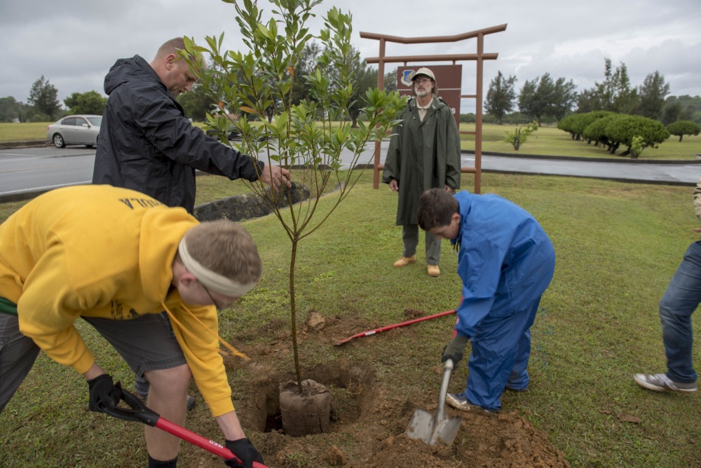 Trees To Be Planted, Cleanup Scheduled In Middletown