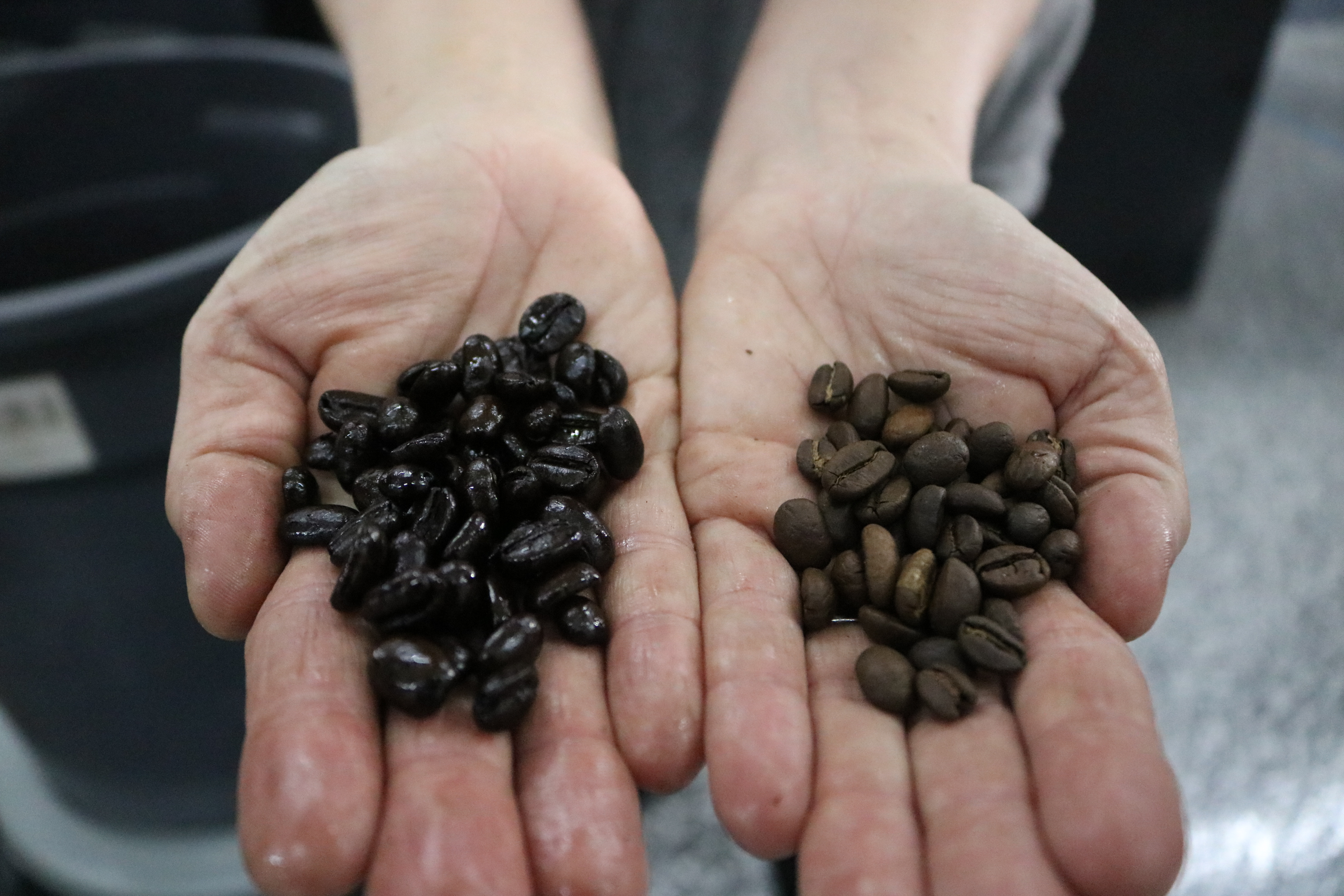 As Demand For Gourmet Coffee Grows, Lower Bucks County Business Expands
