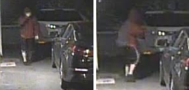 Police Seek Suspect ID In Theft From Vehicles Spree