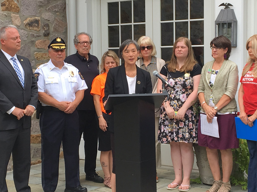 With Support From Families Of Cosmo DiNardo’s Victims, Lawmakers Announce Gun Legislation