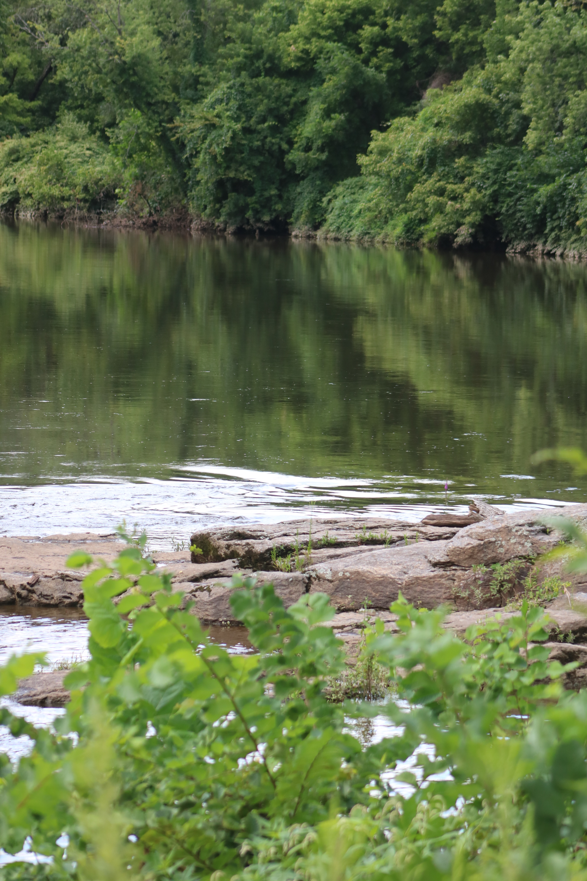 Body Found In Neshaminy Creek