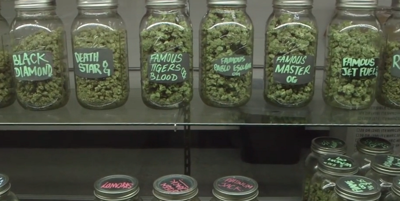 PA’s Growing Medical Marijuana Program Shortages To Subside, Eventually, Secretary Says