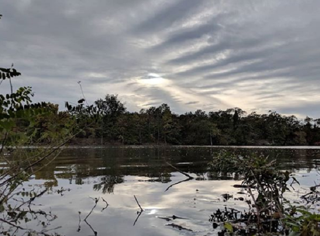 Coastal Storm Bringing Rain, Gusty Winds
