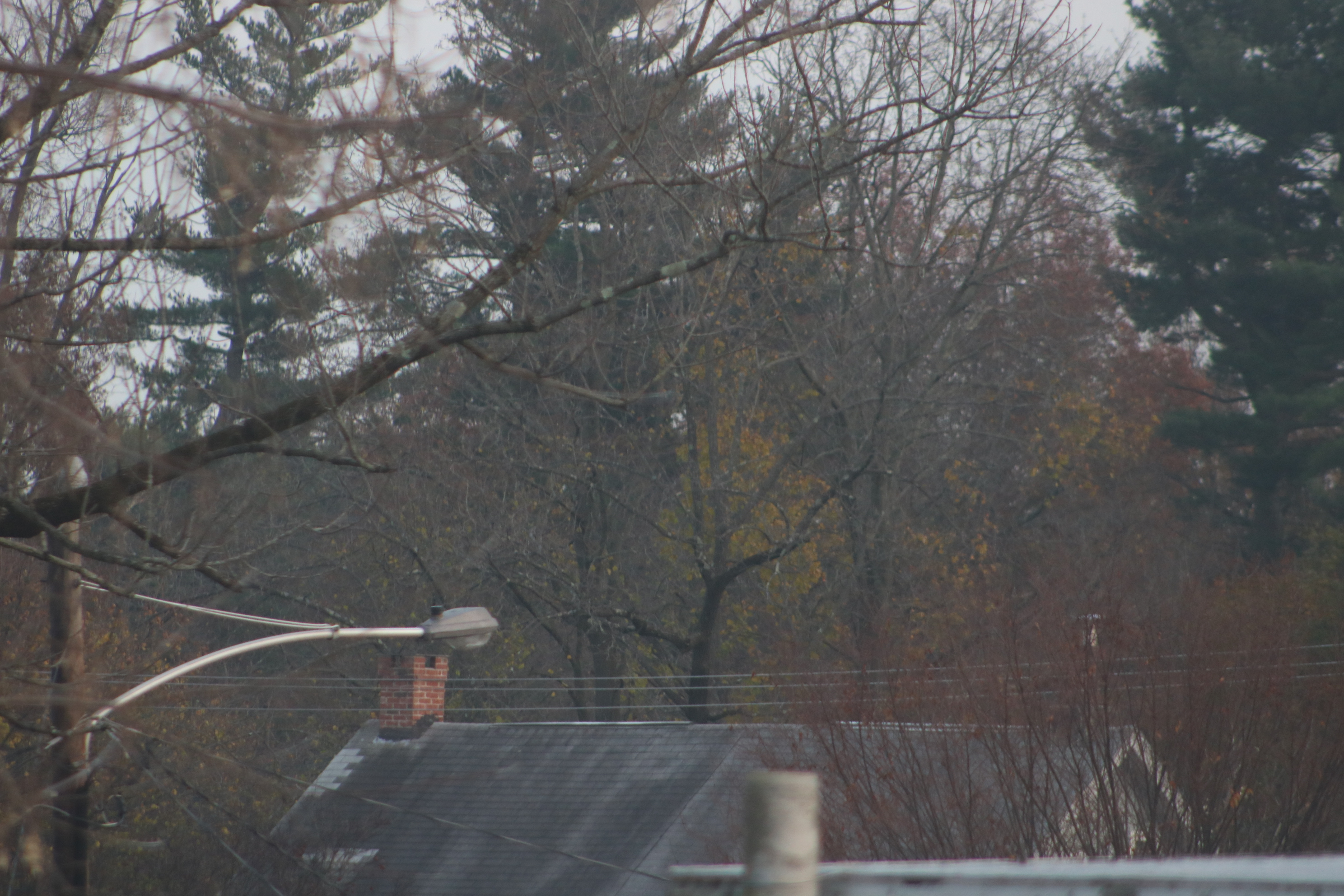 Wildfire Smoke From California Blows Over Lower Bucks County