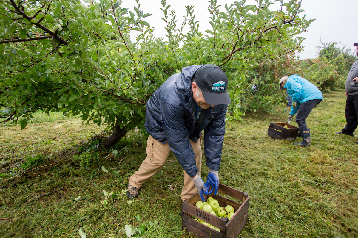 Combating Food Insecurity With Fresh Food, Fresh Ideas