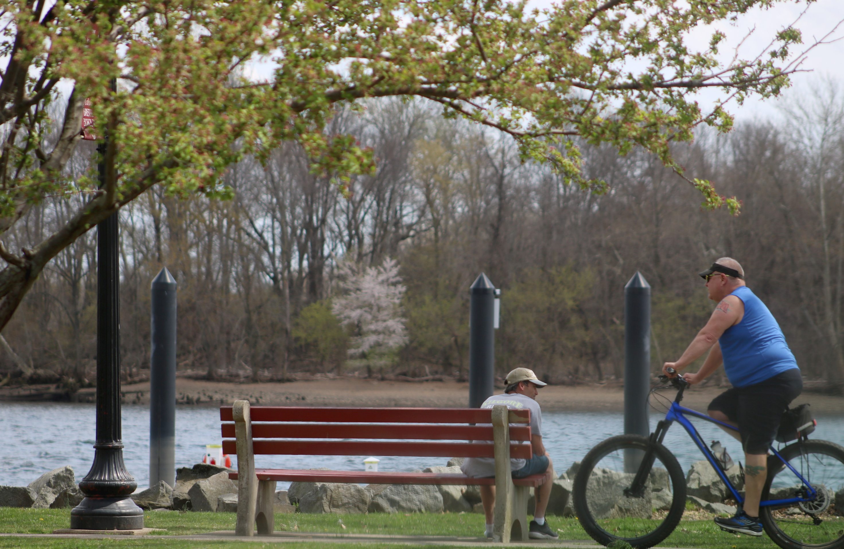 PHOTOS: Signs Of Spring In Bristol Borough