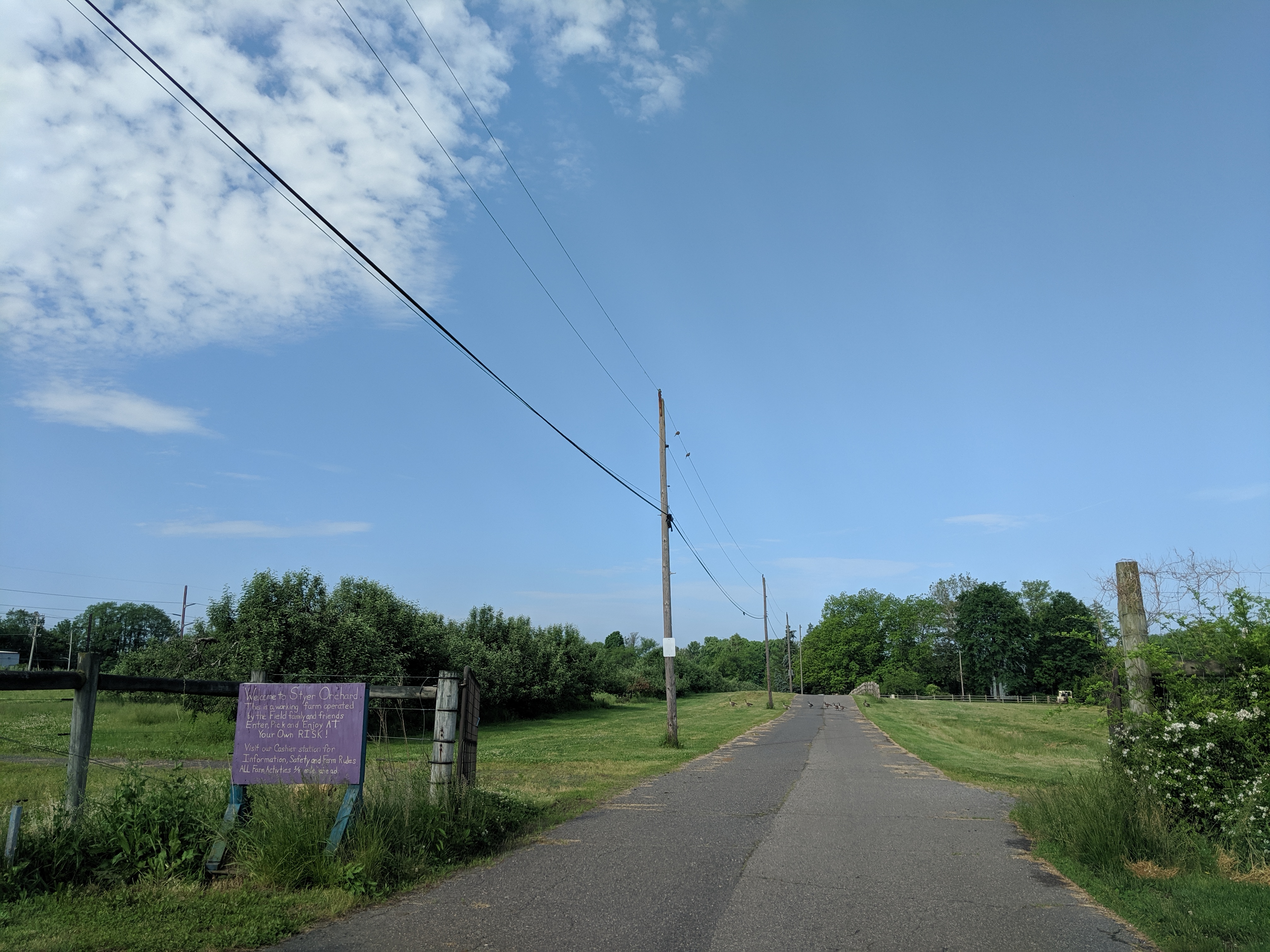 Township Plans To Keep Styer Orchard Operating As A Farm