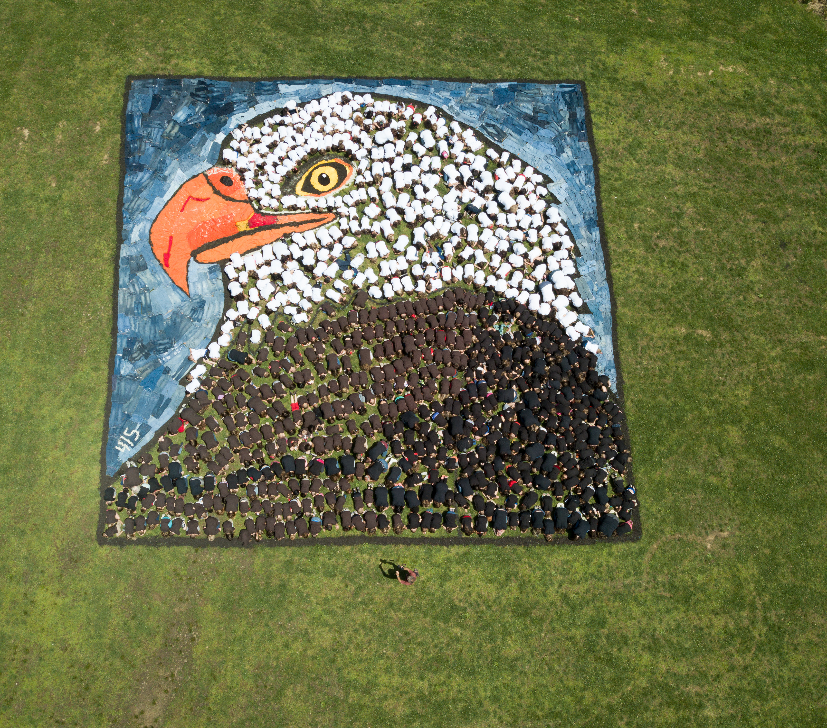 Hundreds Help Create Massive Piece Of Artwork At Neshaminy Elementary School