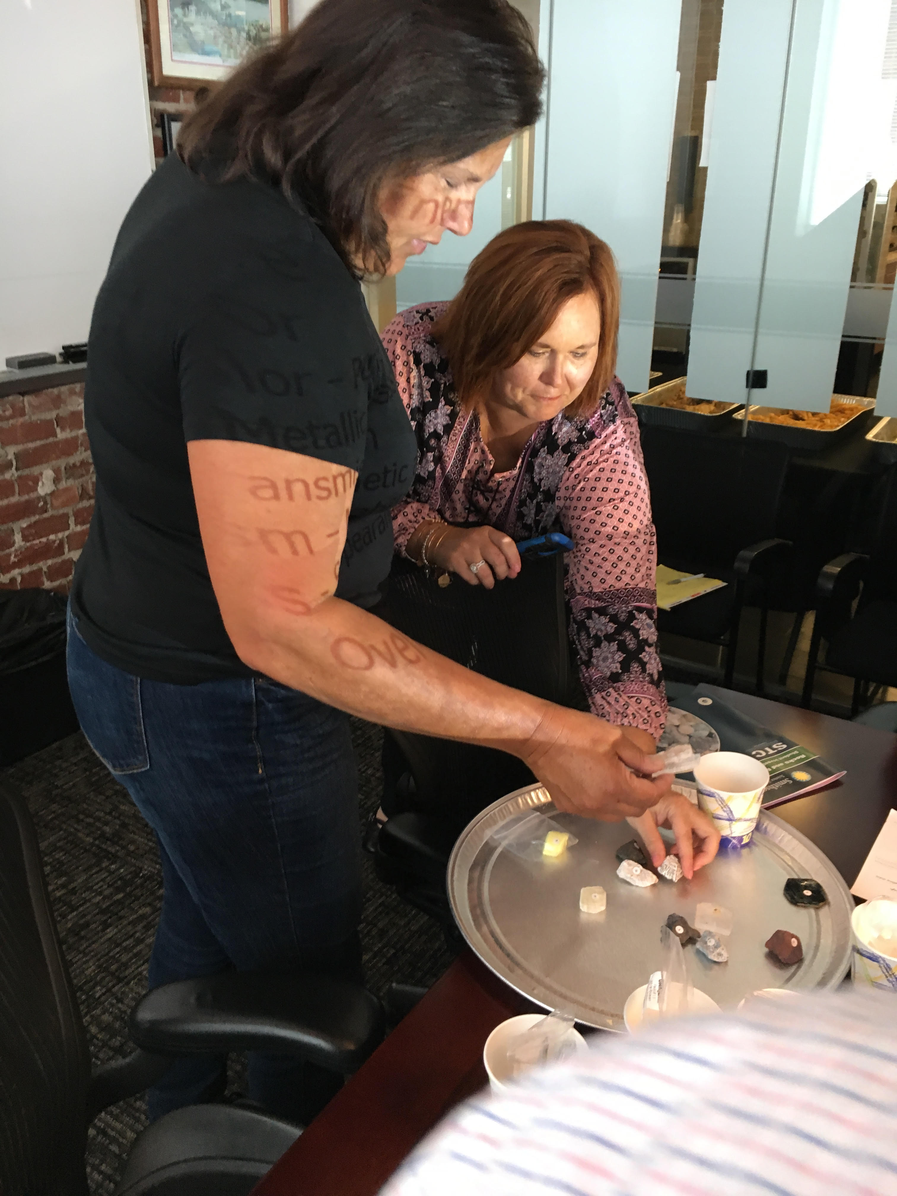 Bristol Twp., Borough Teachers Get STEM Lessons From Experts