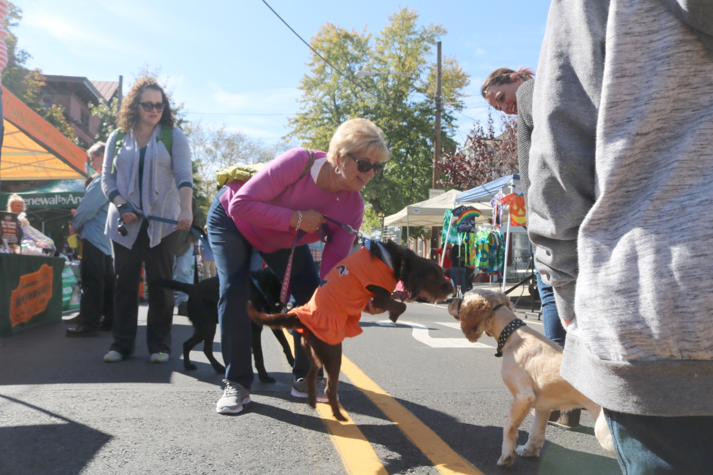 PHOTOS: Gorgeous Weather For Historic Bristol Day