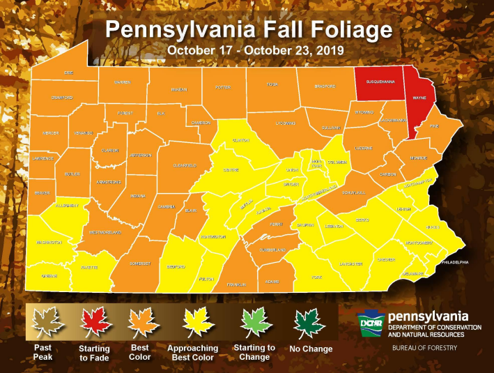 Fall Foliage Report For Weekend Of October 18