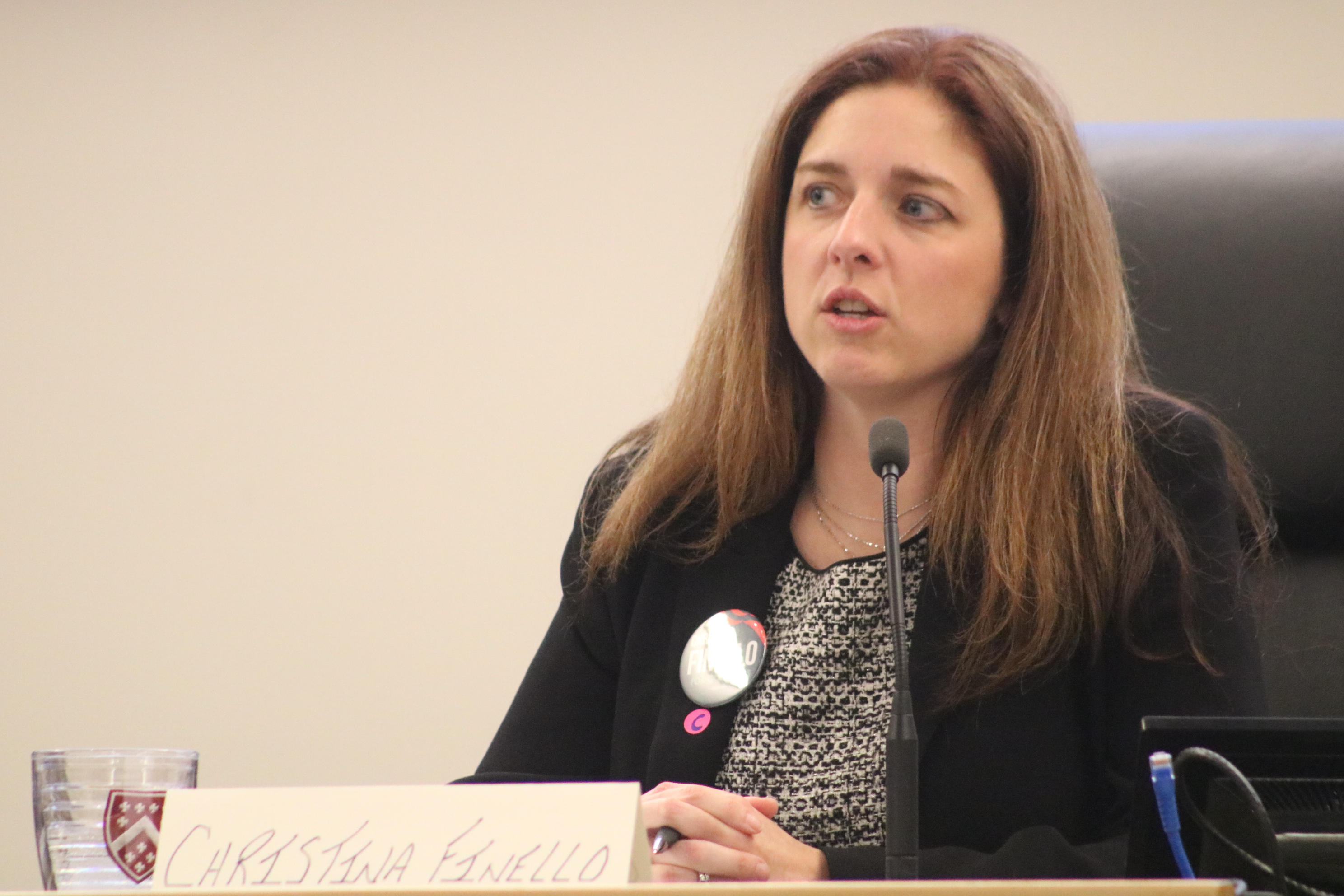 Christina Finello Gains Endorsement Of County Dems