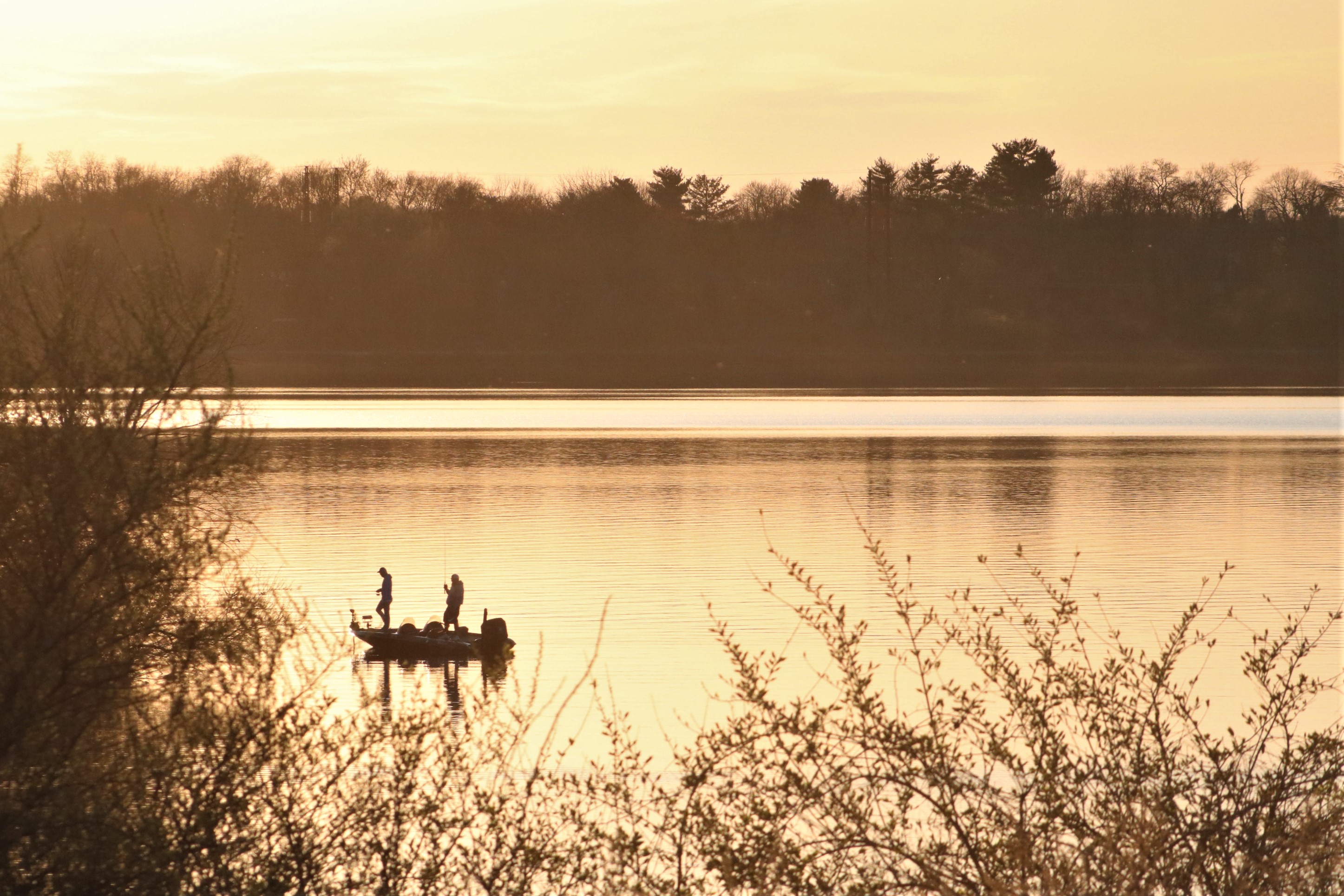 PHOTOS: Spring Has Sprung In The Levittown Area