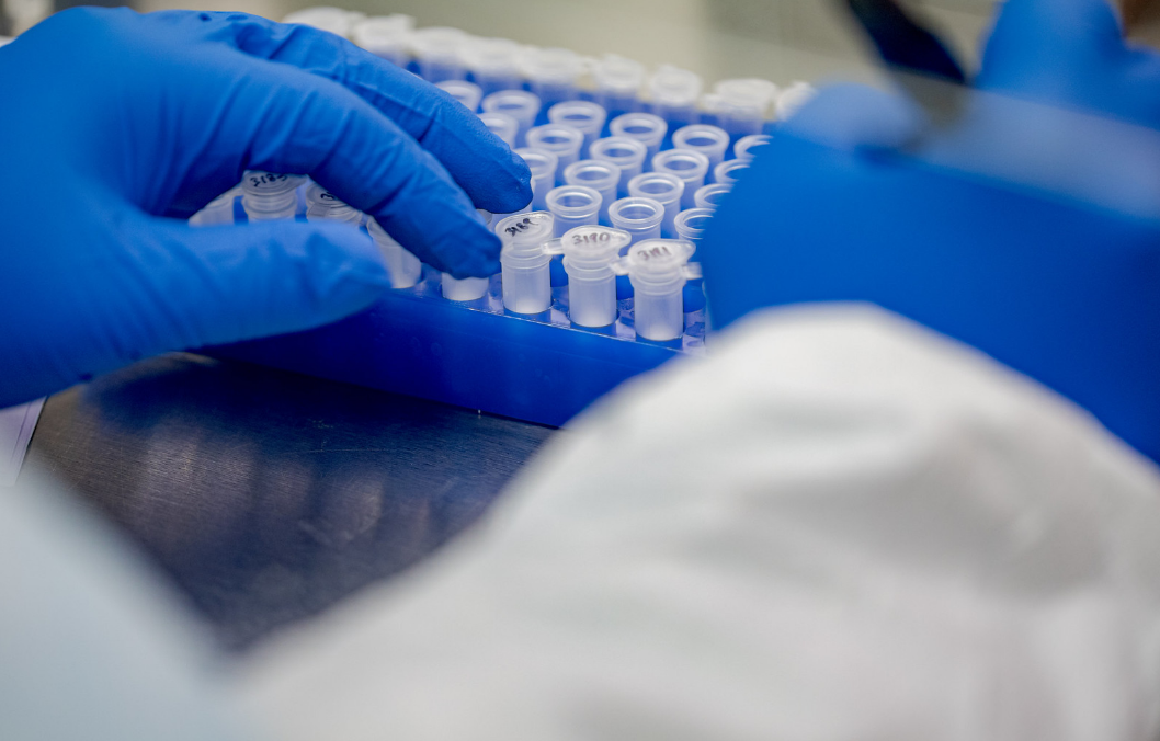 H5N1 Bird Flu Grabs Headlines, But It Is A ‘Low Risk’ To Public At The Moment