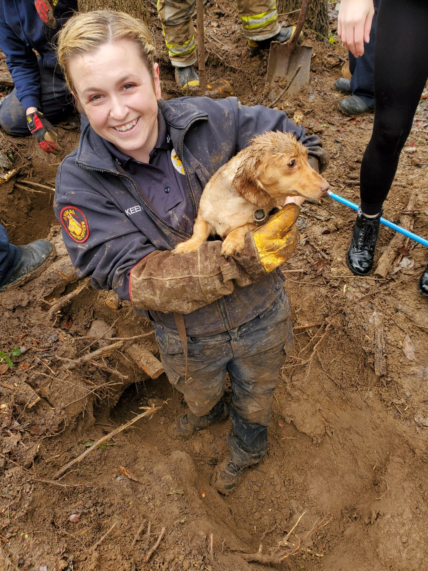 Dachshund Rescued From Groundhog Burrow