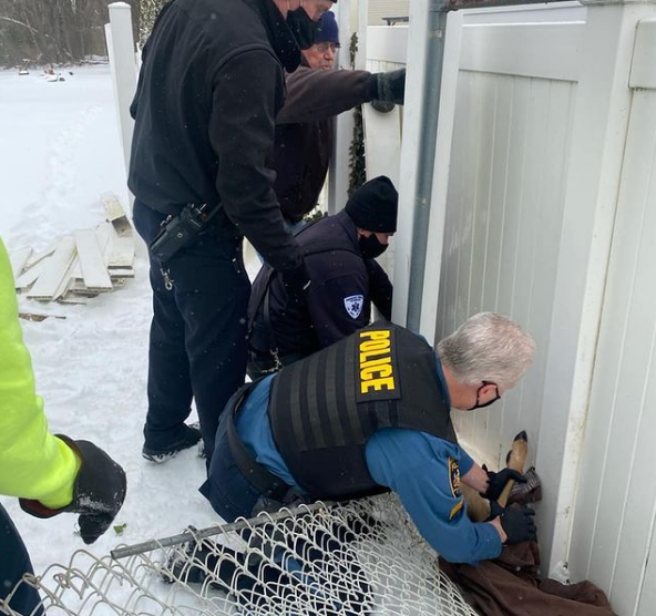 Police, Firefighters Free Stuck Deer