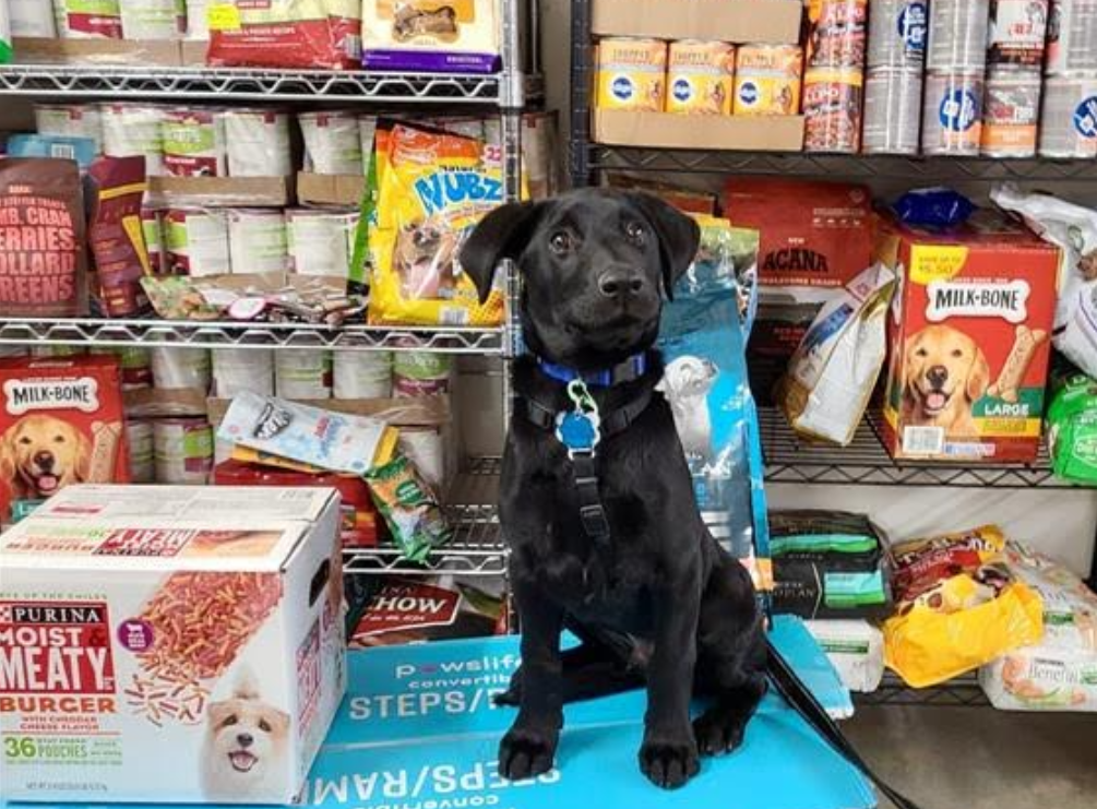 Donate To Help Pet Food Pantry & Get Beer