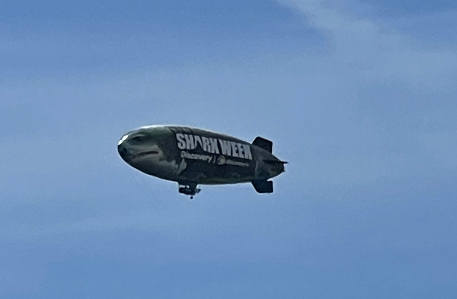 Giant Shark Spotted Over Area