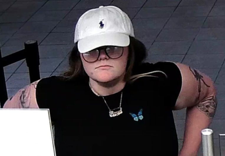 Park Rangers Attempting To ID Suspects In Theft From Vehicle Case