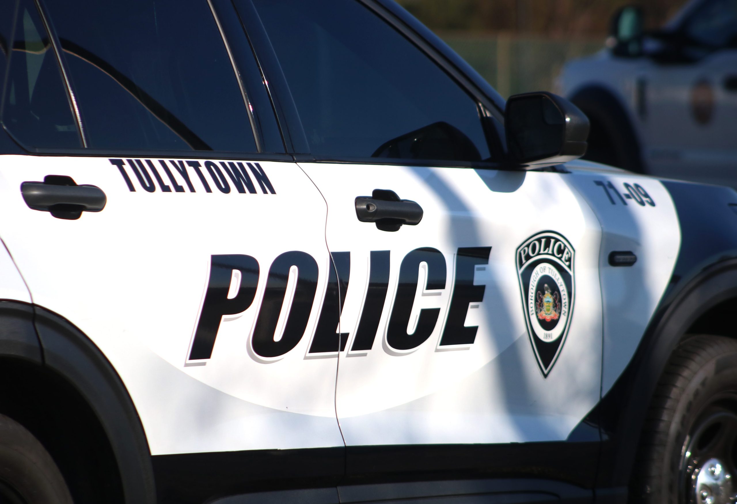 Levittown Woman Arrested After Slipping Police Twice