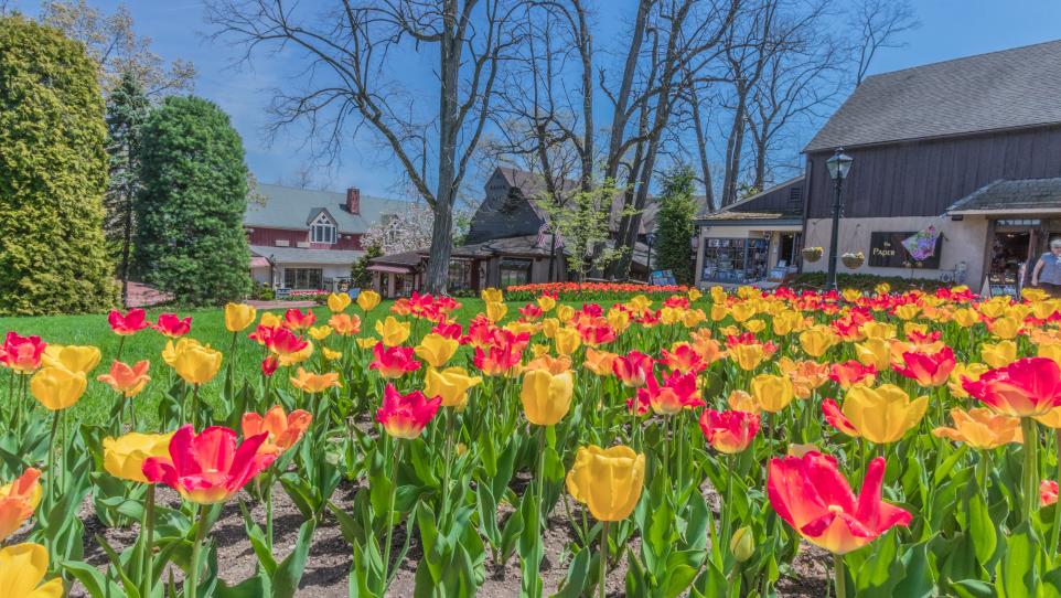 What’s Up This Weekend: 24+ Ways To Welcome Spring