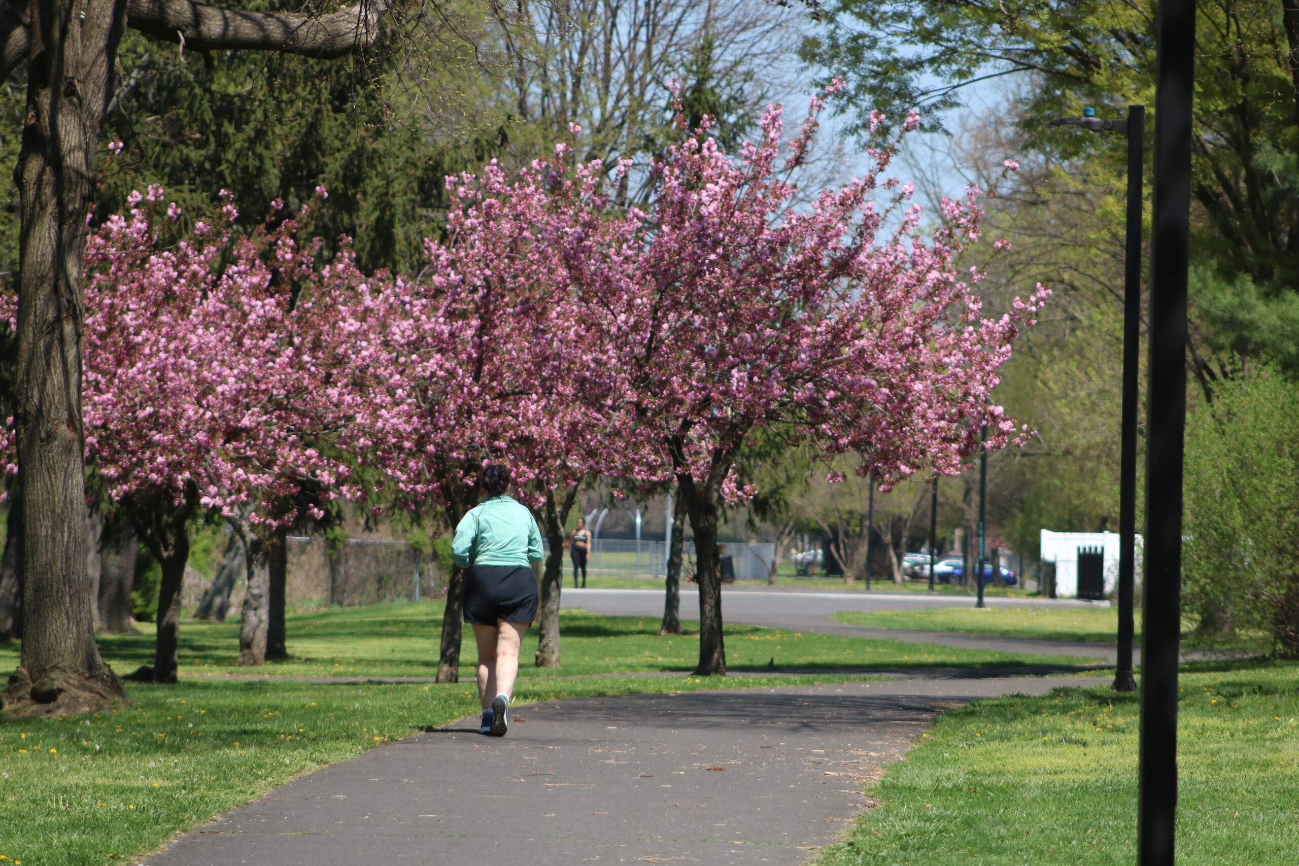 PHOTOS: Bristol Welcomes Spring With Blooms - LevittownNow.com