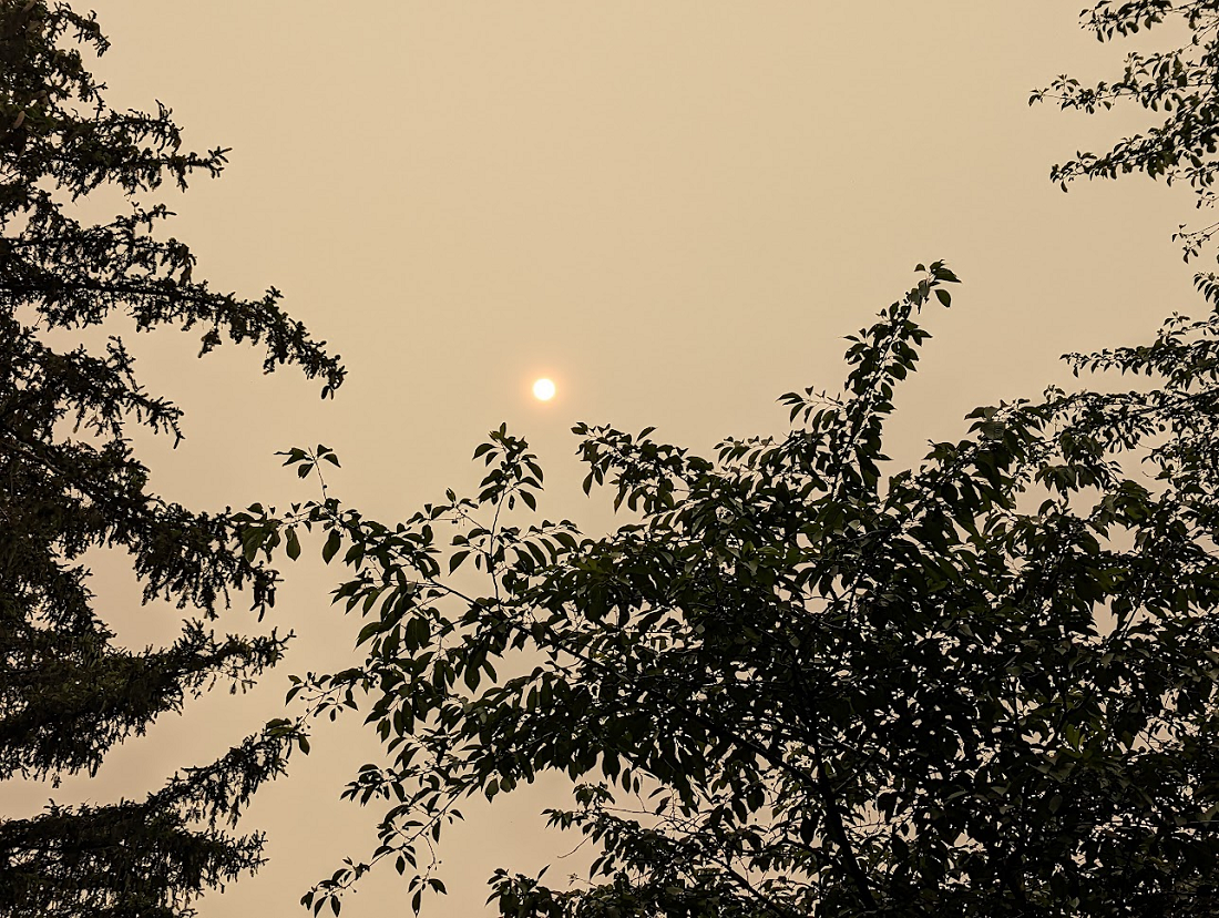 Wildfire Smoke Impacts Levittown-Area Schools