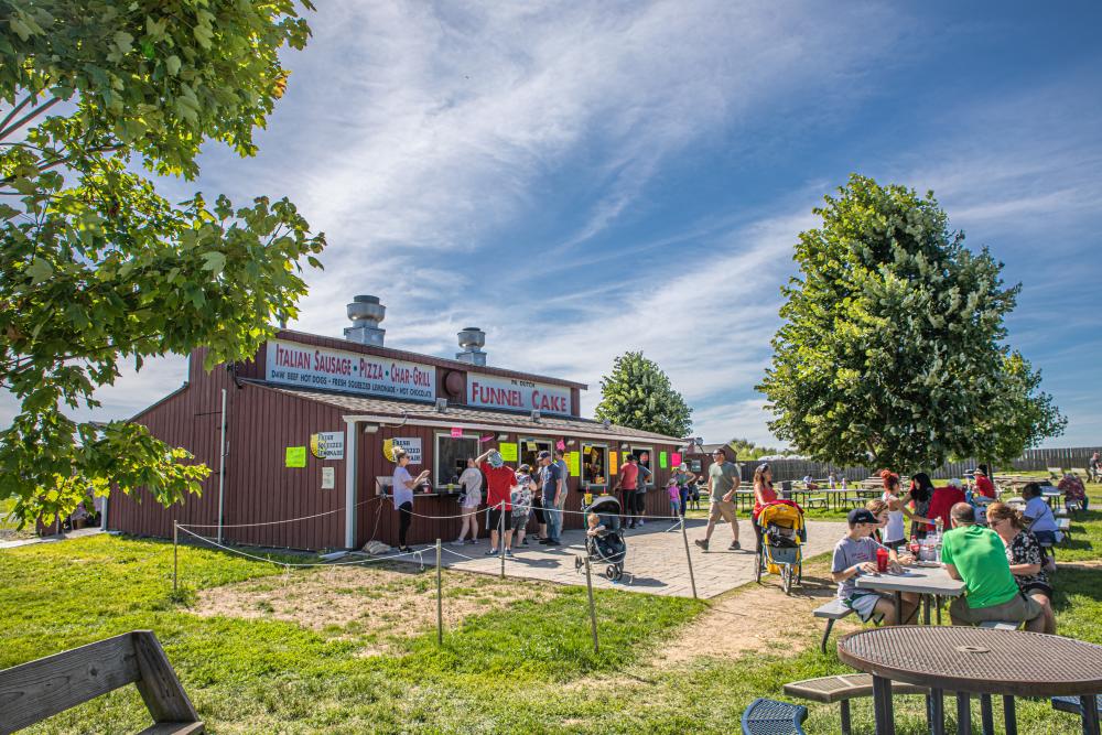 What’s Up This Weekend: 39+ Pride Festival, Live Theater, Summer Happenings & More