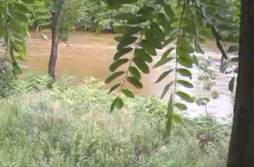 Storms Knock Out Lights For Some, Brings Down Limbs