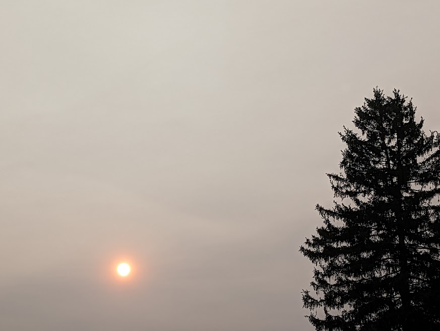 Canadian Wildfires Cause Air Quality Alert