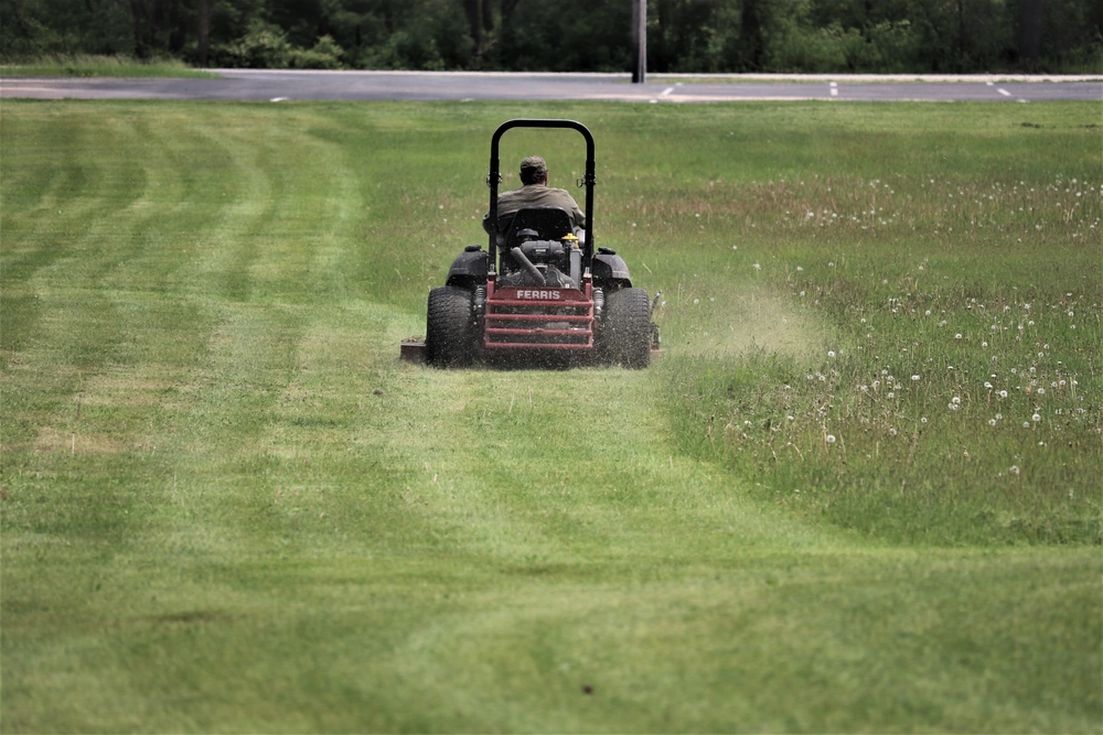 Why More & More People Are Painting Their Lawns