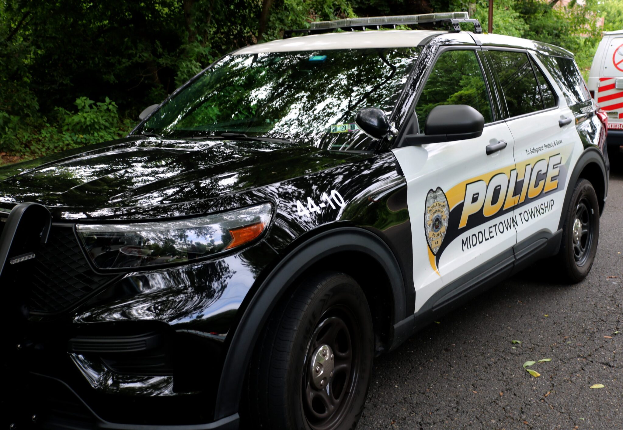 Man Pleads Guilty To Animal Cruelty In Dog's Death - LevittownNow.com