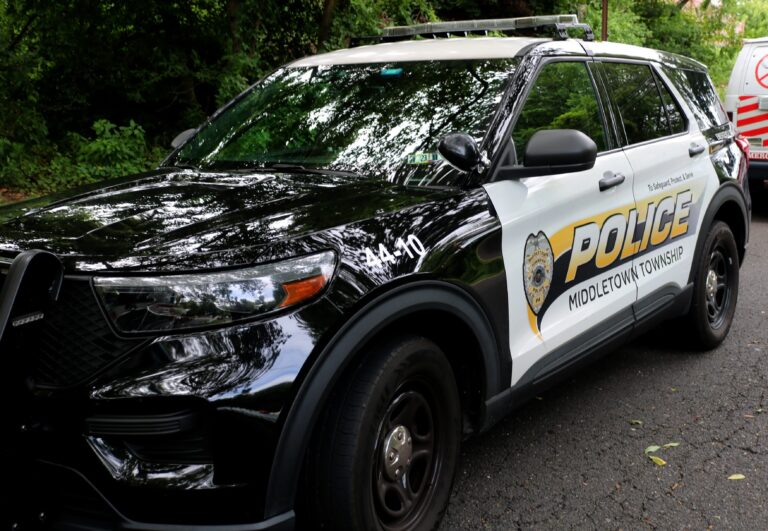 Man Pleads Guilty To Animal Cruelty In Dog's Death - LevittownNow.com