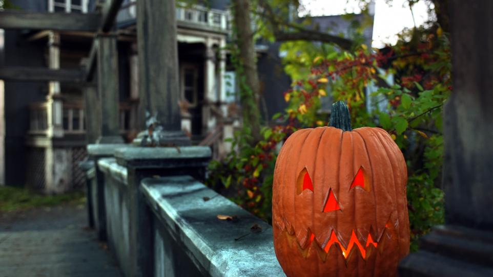 What’s Up This Weekend: 42+ Haunted Tours, Fall Festivities & More