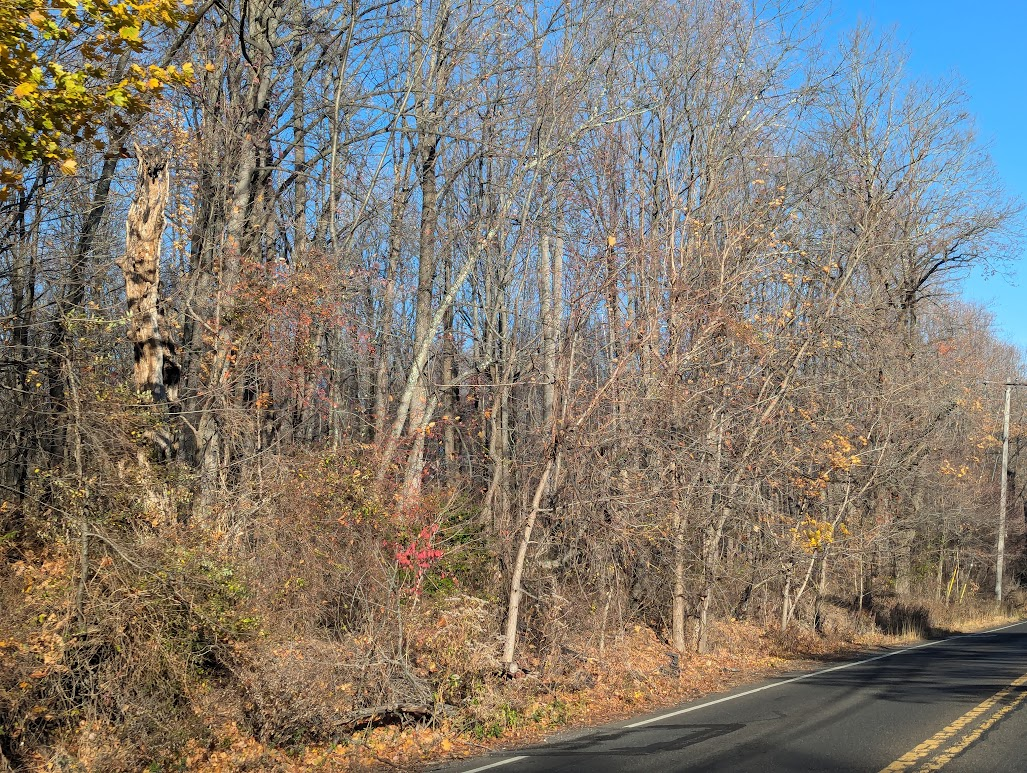Mixed-Use Development Eyed For Part Of Woods Services Site