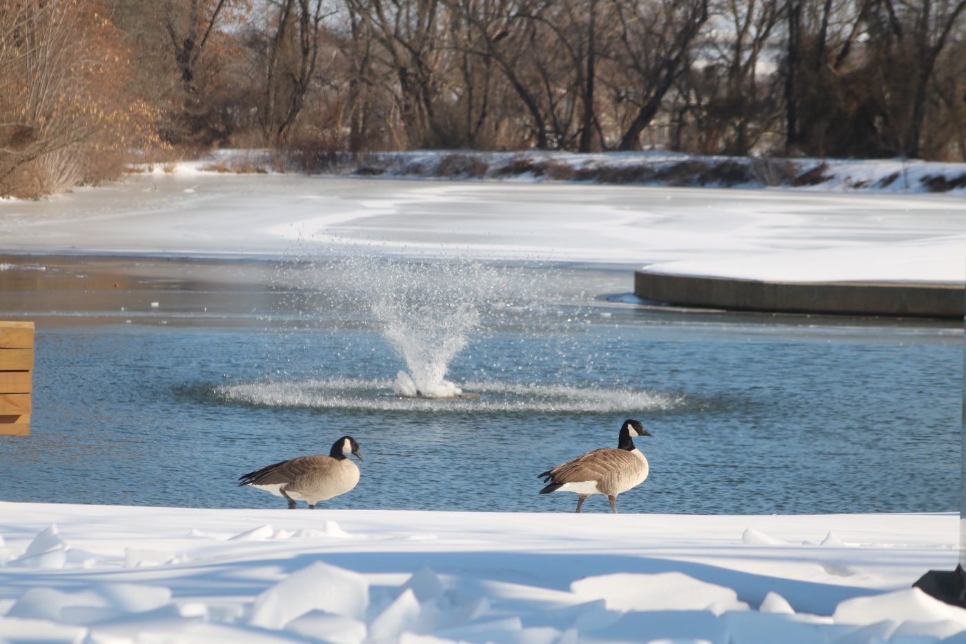 PHOTOS: Few Brave Temperatures In Frozen Bristol
