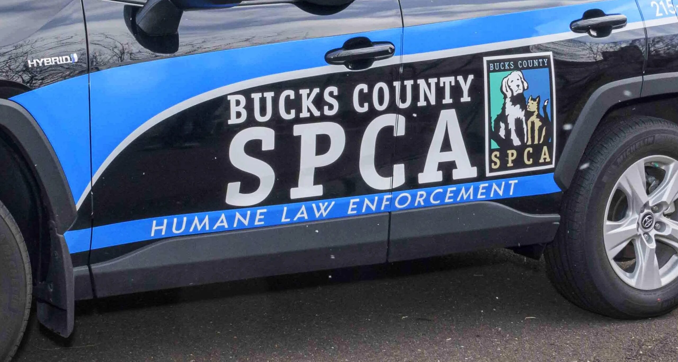 SPCA Police: Deceased Animals Found After Tenant Allegedly Abandoned Pets
