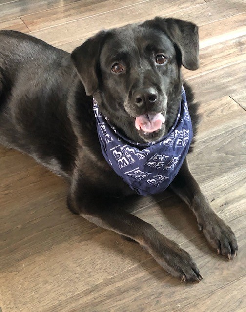 PET OBITUARY: Ludo Coons