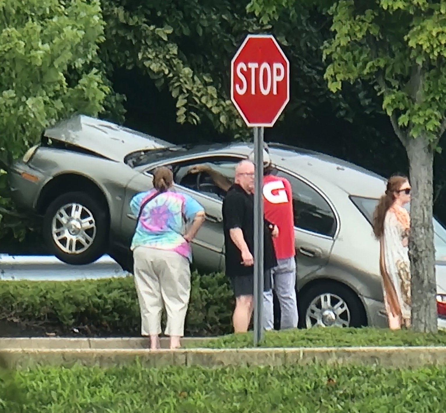 Car Climbs Tree In Grocery Store Parking Lot
